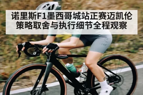 诺里斯F1墨西哥城站正赛迈凯伦策略取舍与执行细节全程观察